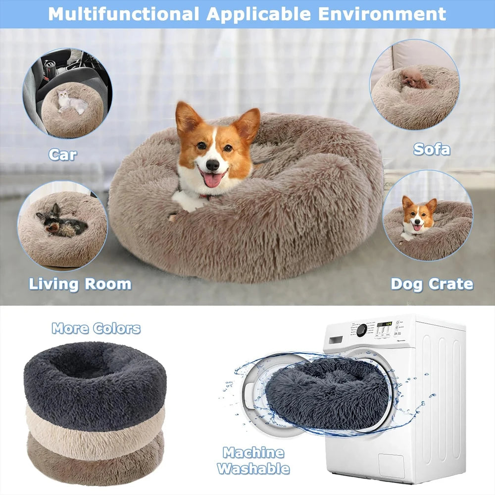 The Mura Cloud Bed — Architectural Plush