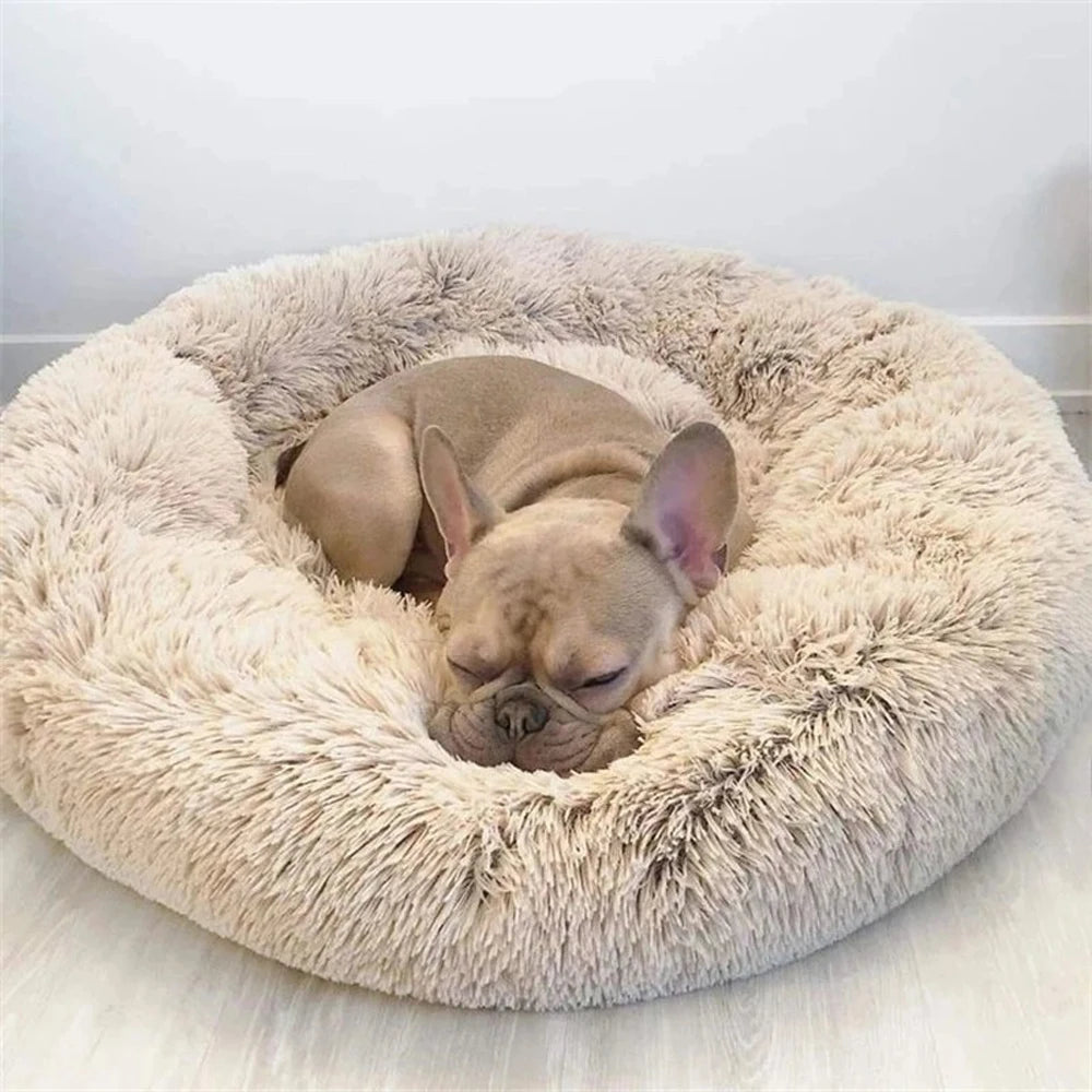 The Mura Cloud Bed — Architectural Plush