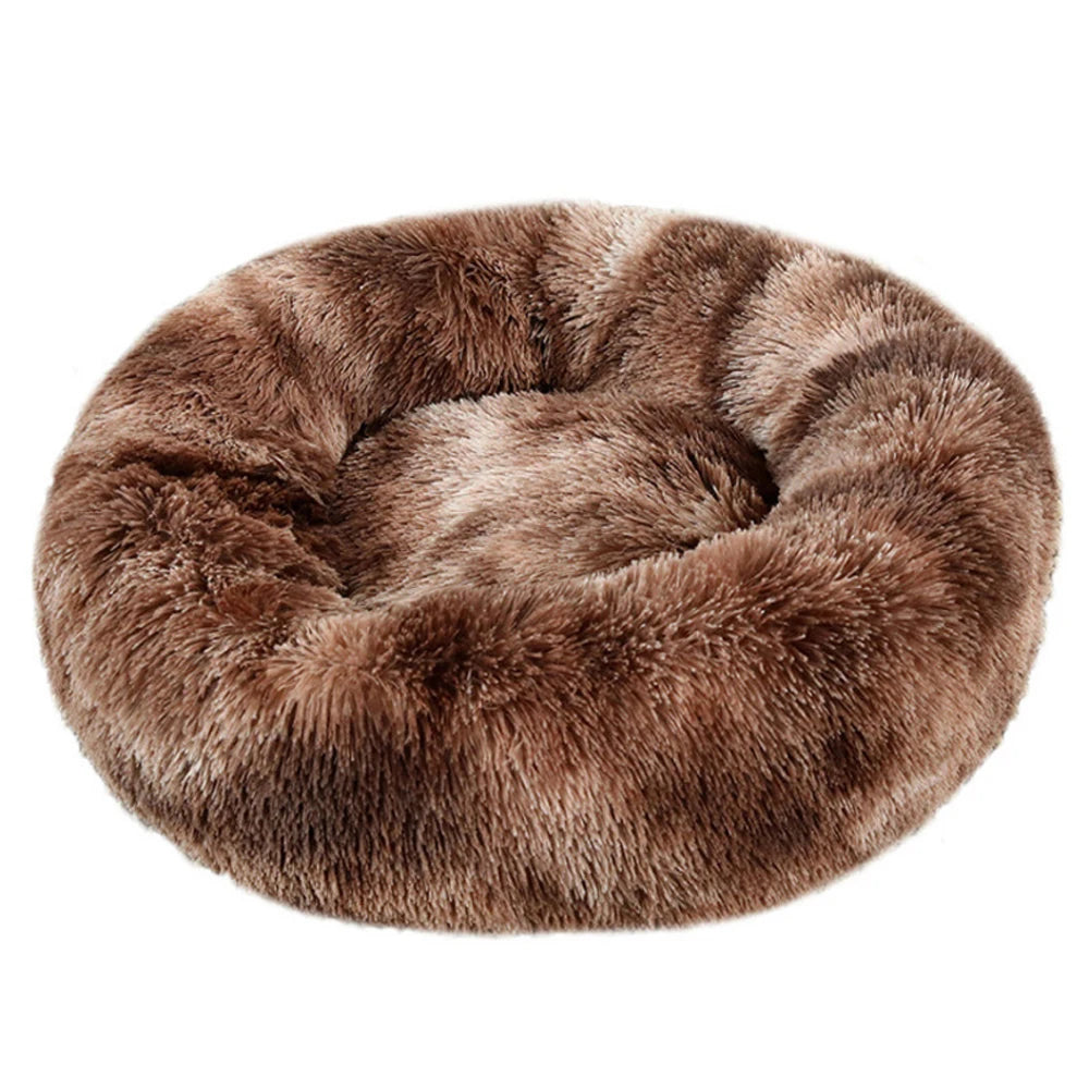The Mura Cloud Bed — Architectural Plush